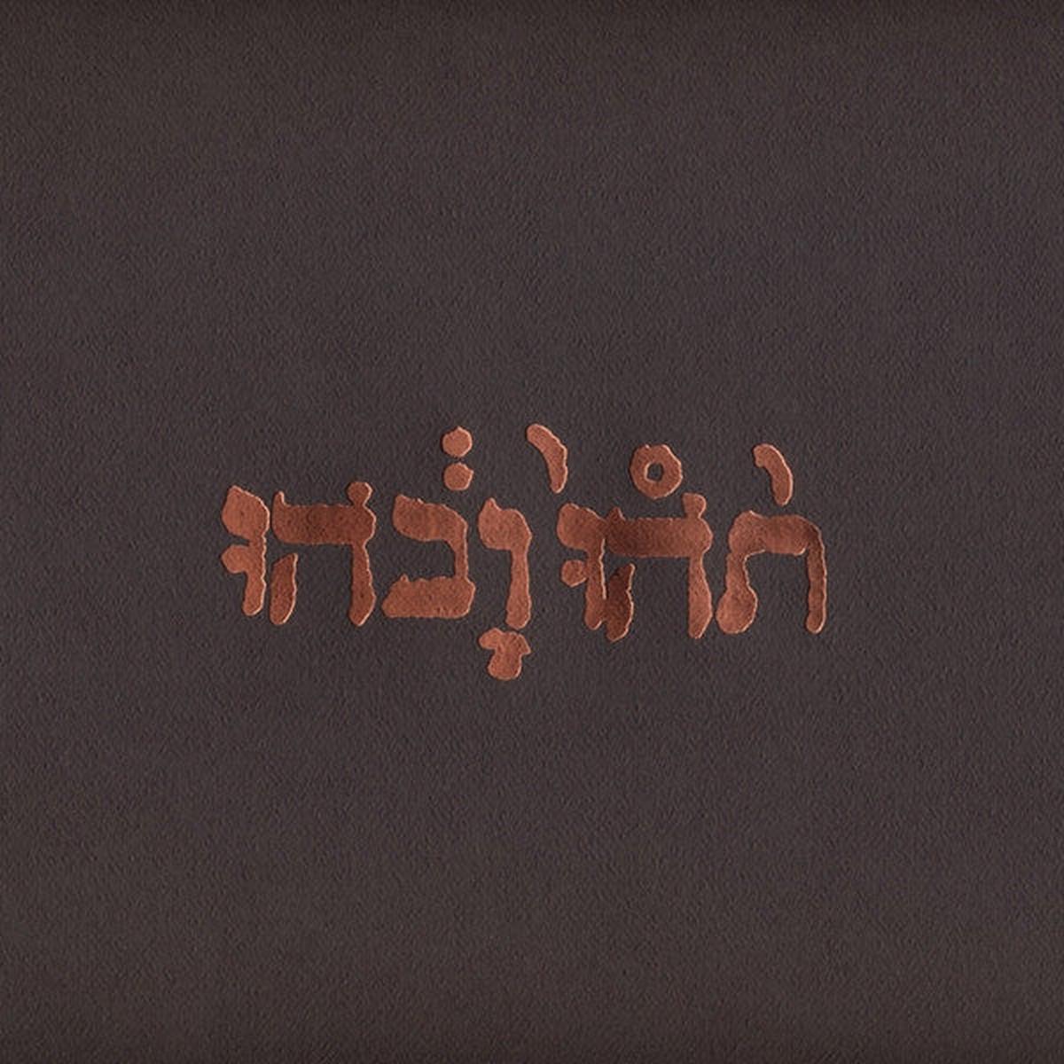 GODSPEED YOU BLACK EMPEROR  - SLOW RIOT FOR NEW ZERO - LP