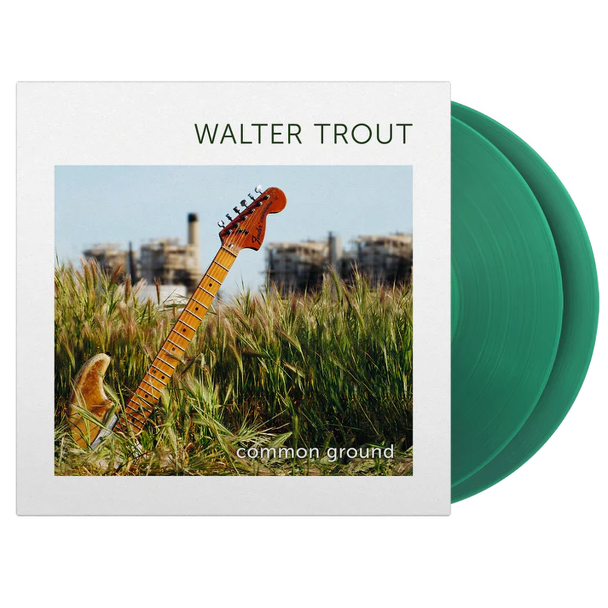 Walter Trout – Common Ground (2 LPs)