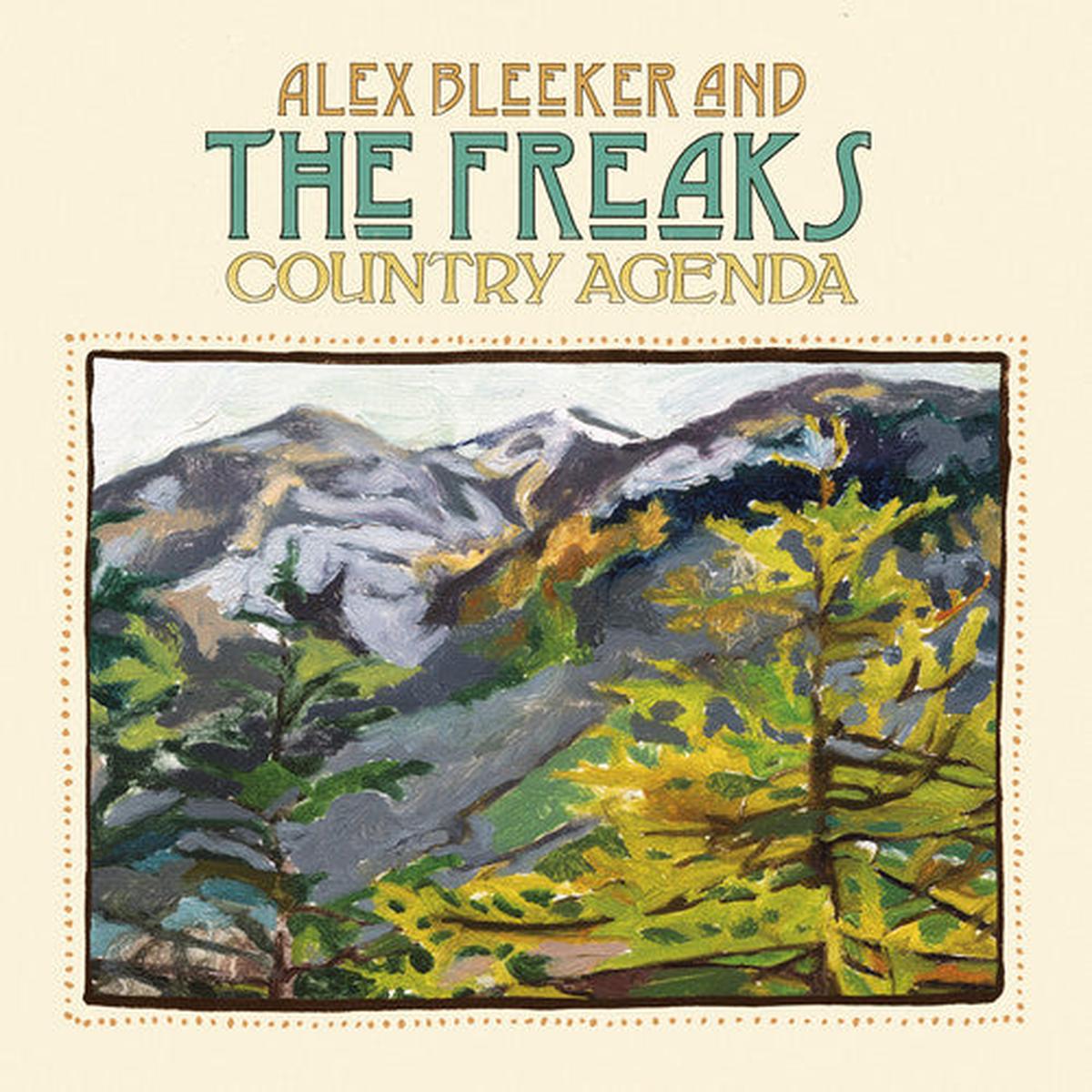 Alex Bleeker & the Freaks: Country Agenda – VINYL LP