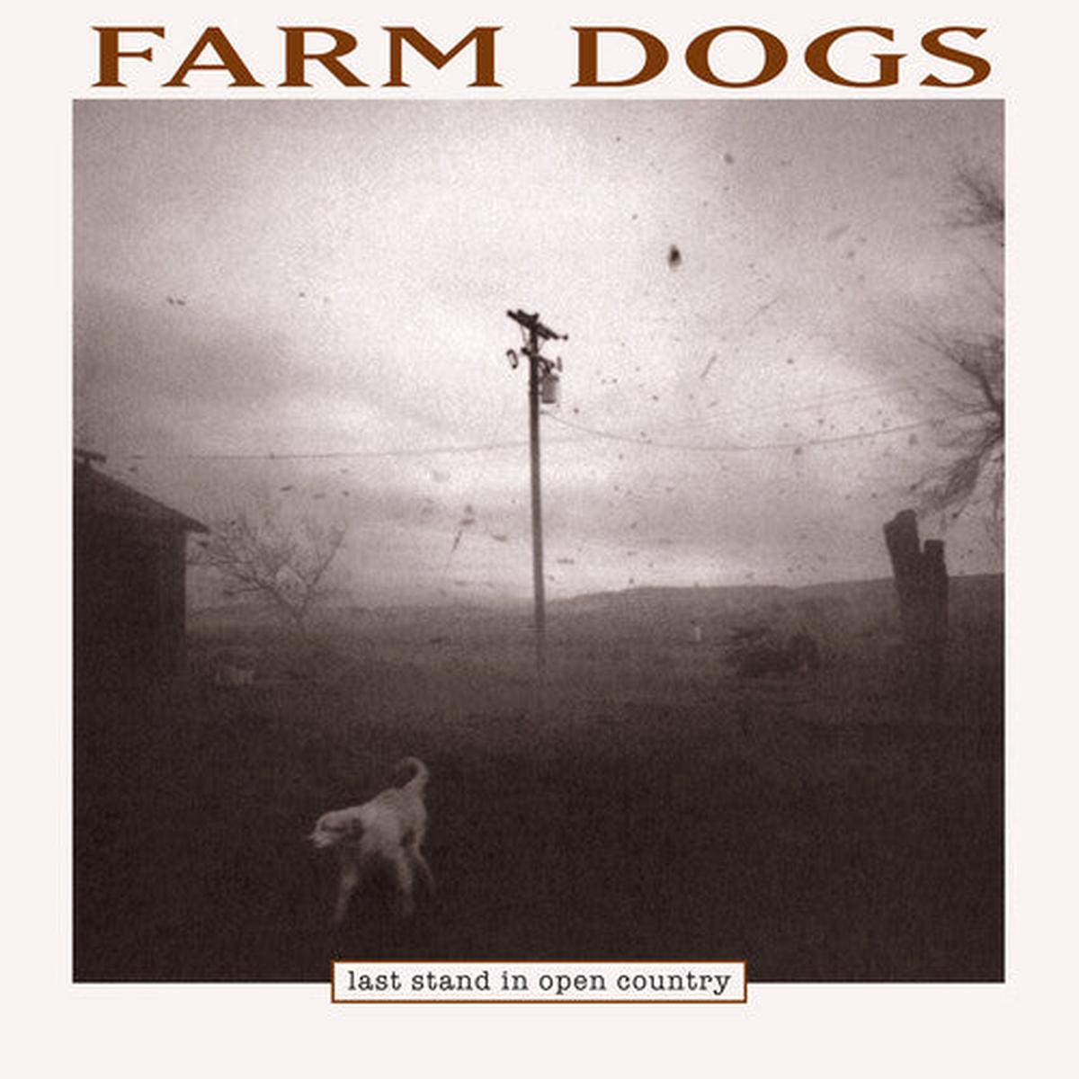 Farm Dogs: Last Stand In Open Country – VINYL LP