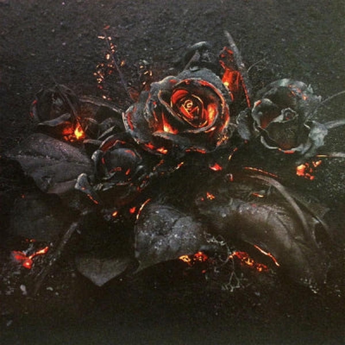 FUTURE – Evol