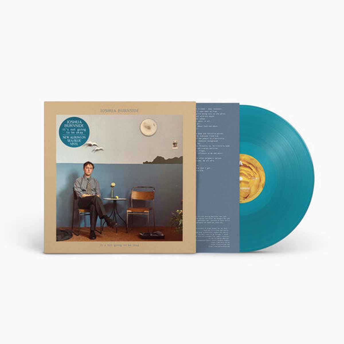 Joshua Burnside: It’s Not Going to Be Okay – VINYL LP