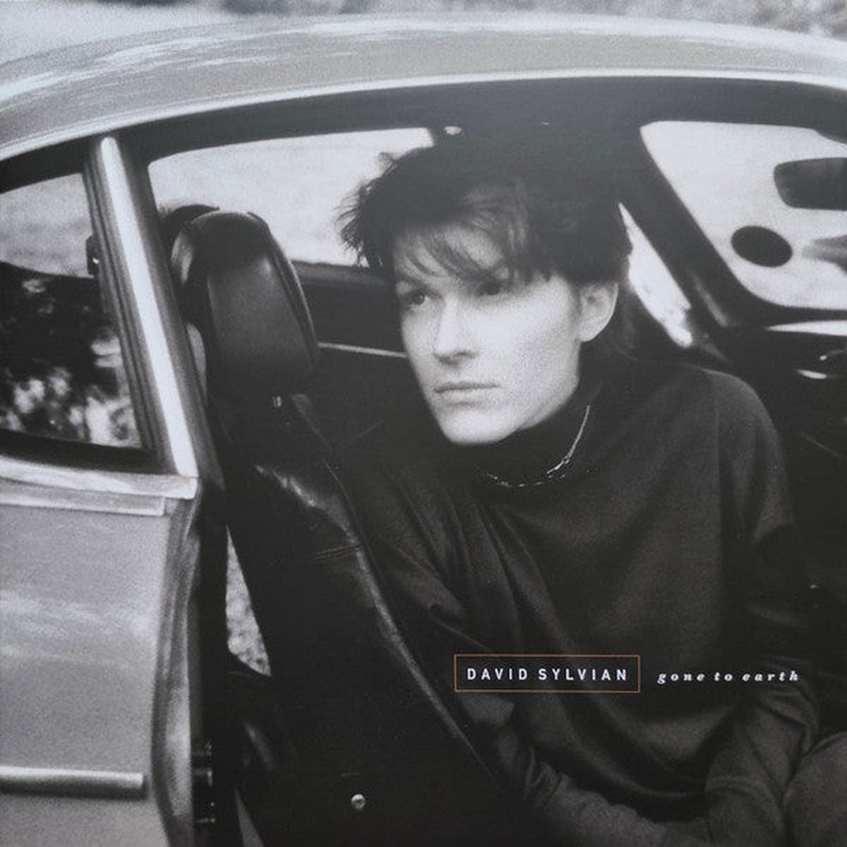 SYLVIAN, DAVID – GONE TO EARTH : WHITE BROWN & BLACK 2LP – LP