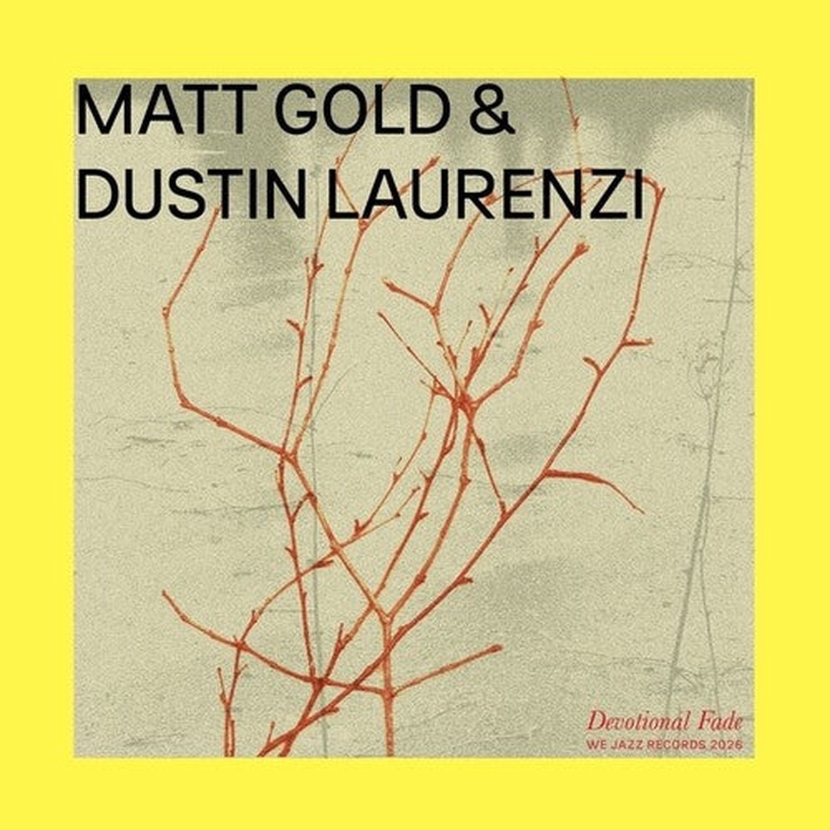 Gold, Matt / Laurenzi, Dustin: Devotional Fade – VINYL LP