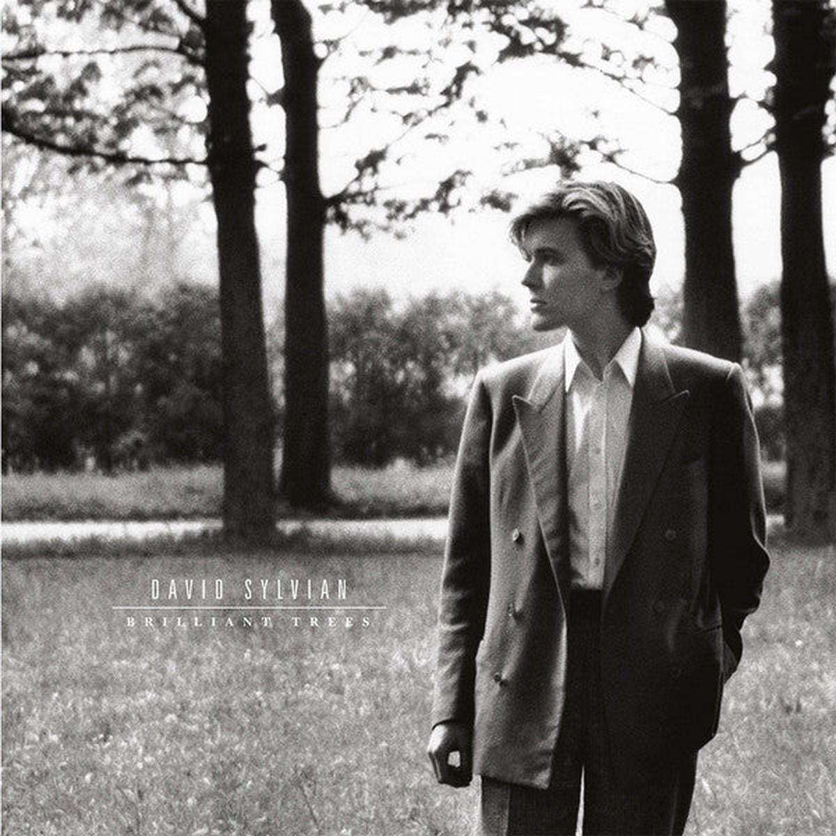 SYLVIAN DAVID 8211 BRILLIANT TREES CORONA OLIVE 038 BLACK 8211 LP