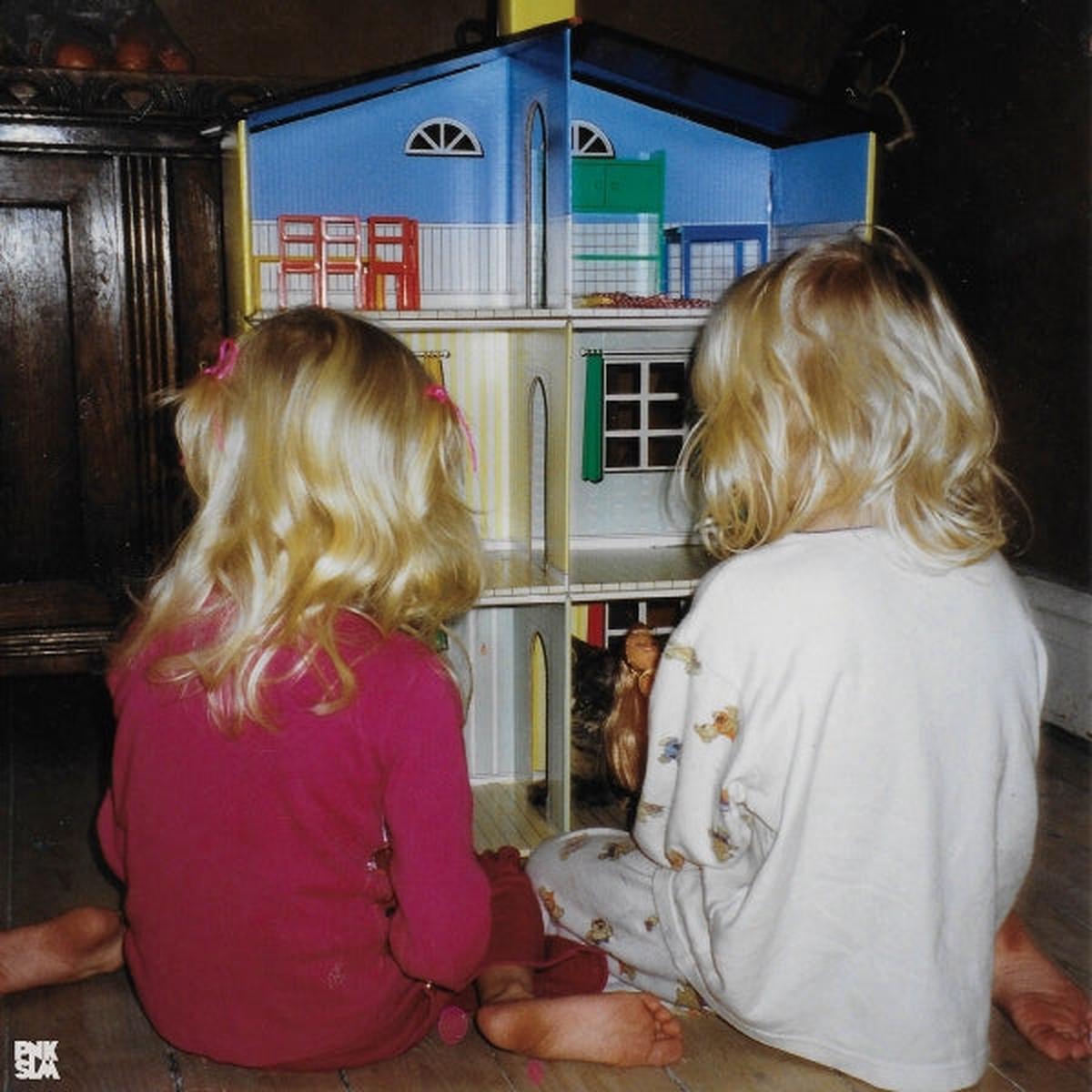 Zebra (7ebra) - Bird Hour (LP)