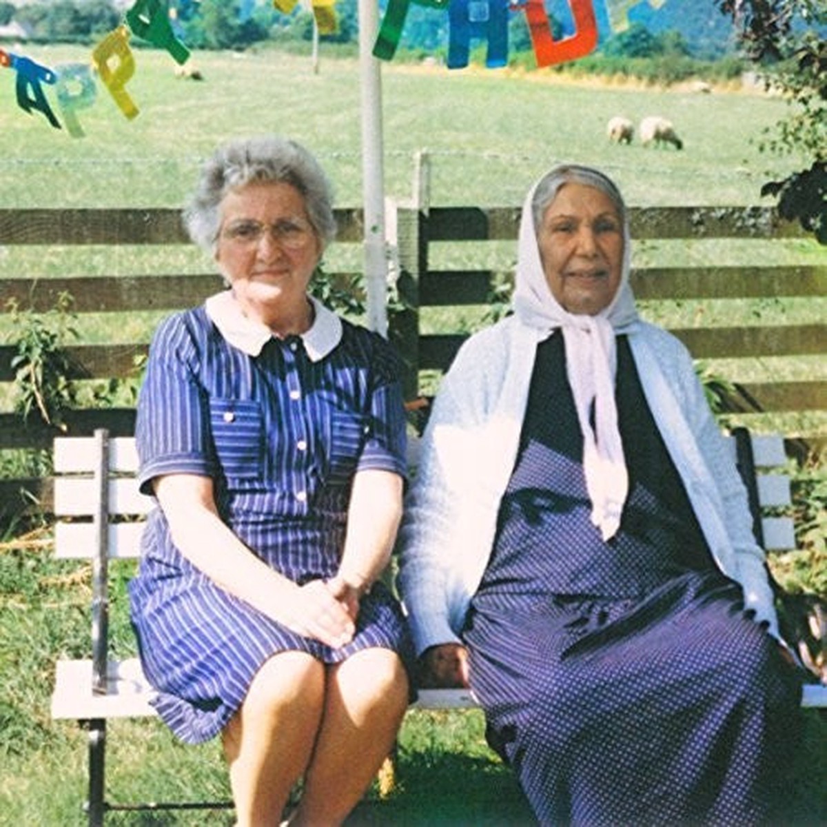 Dauwd: Theory Of Colours - COMPACT DISCS