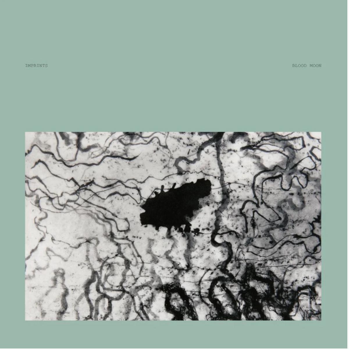 (PRE-ORDER 12/19/2025) Blood Moon (2xLP Translucent Green Marble) | - - ABMIENT *NEW/COLOR*